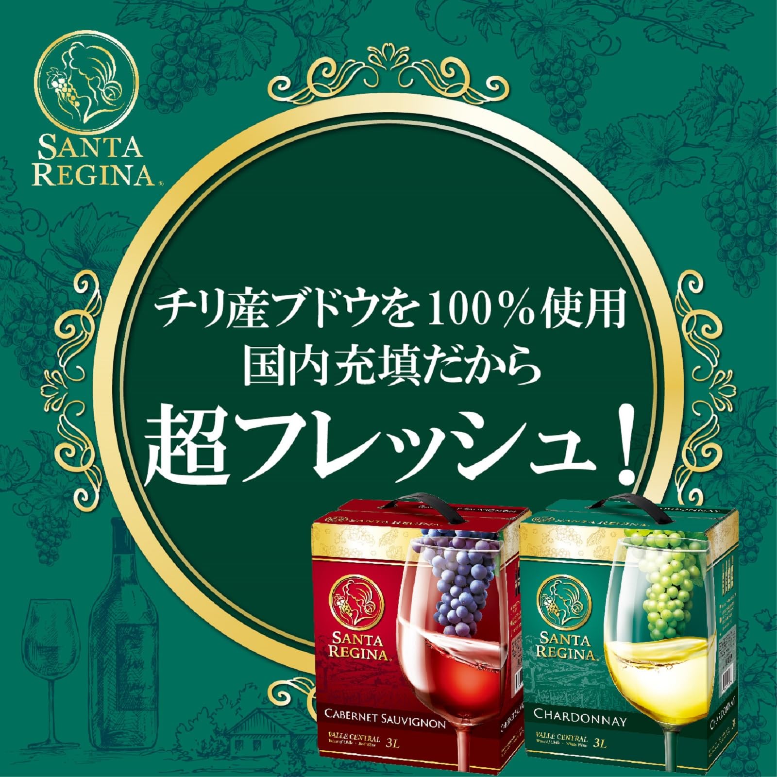 Amazon.co.jp: サンタ・レジーナ カベルネソーヴィニヨン 箱入りワイン